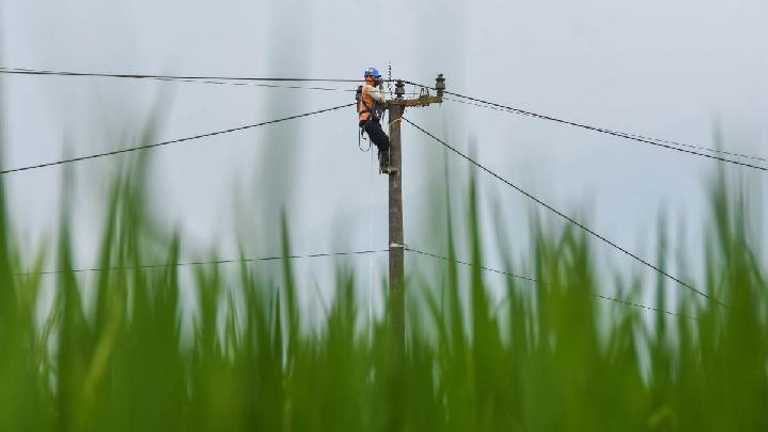 Search image article