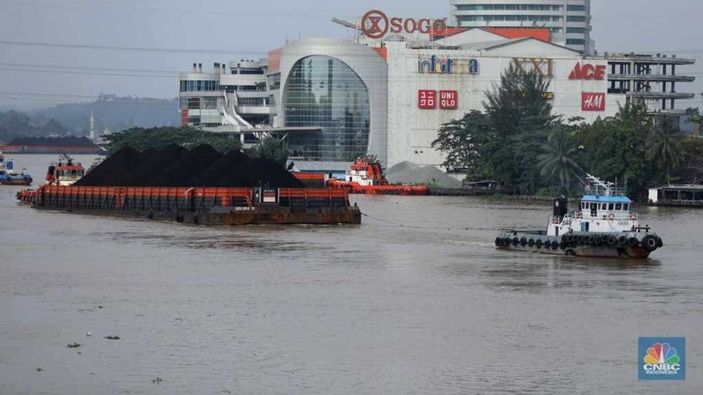 Search image article