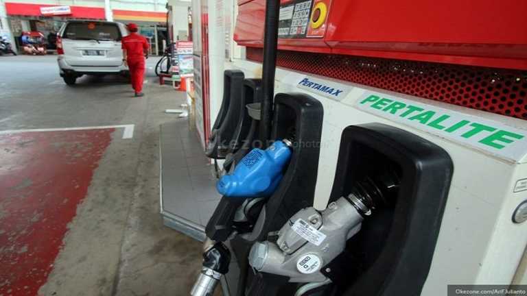 Search image article