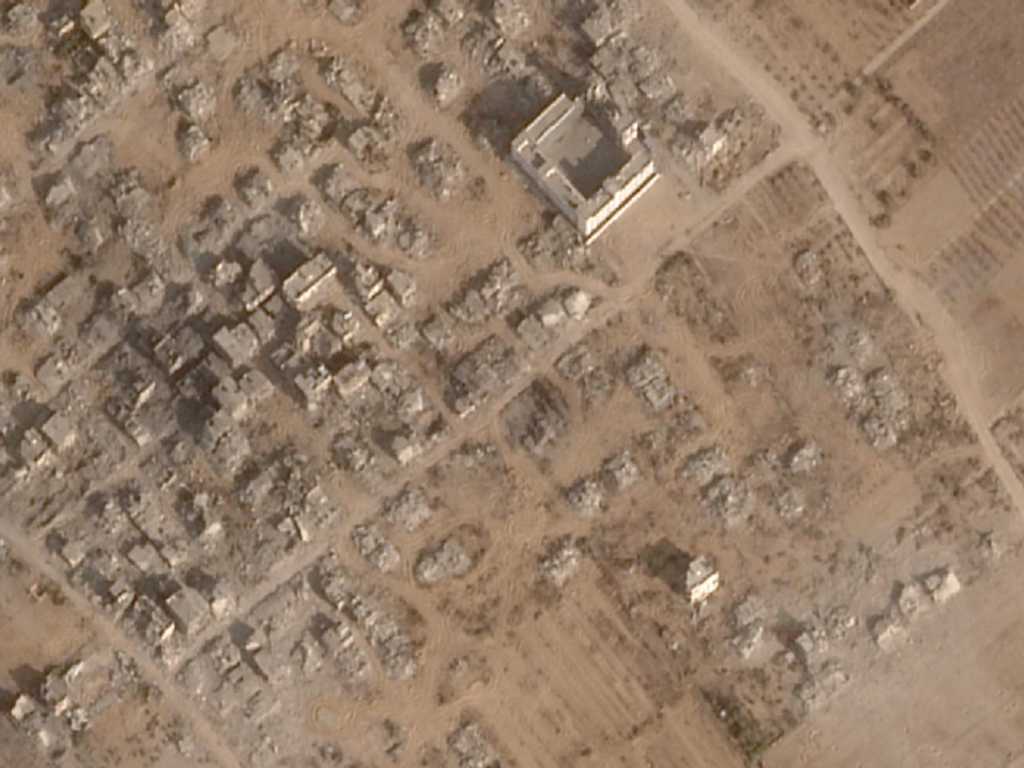 Search image article