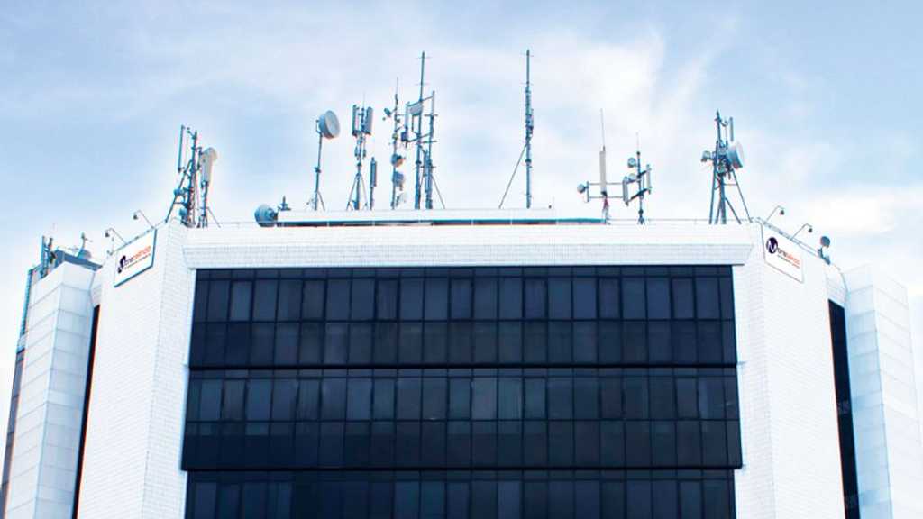 Search image article