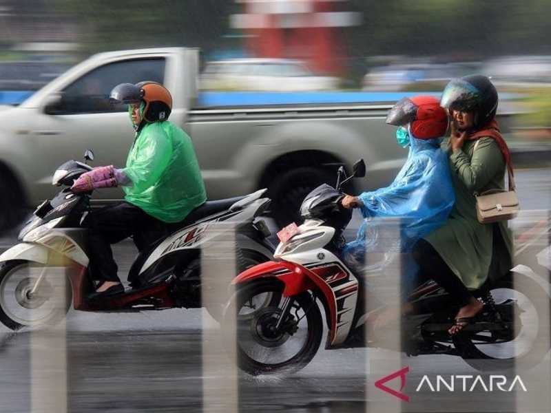 Search image article