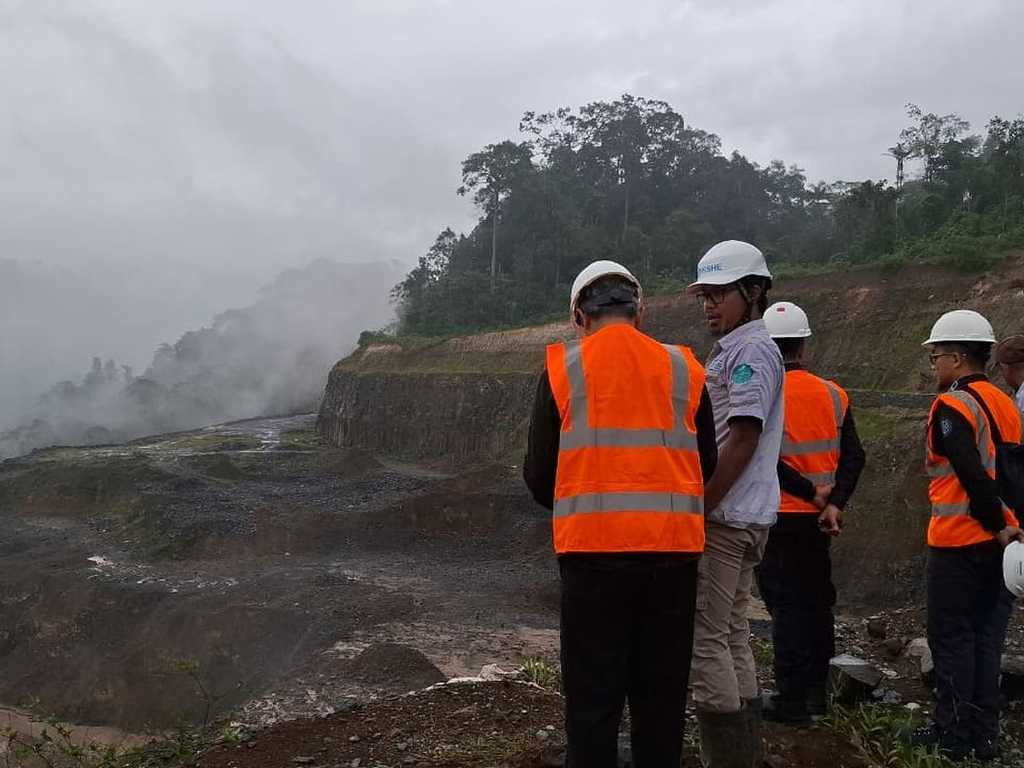 Search image article