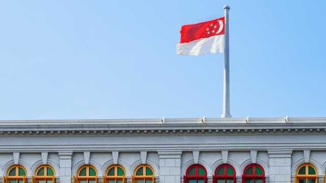 Search image article