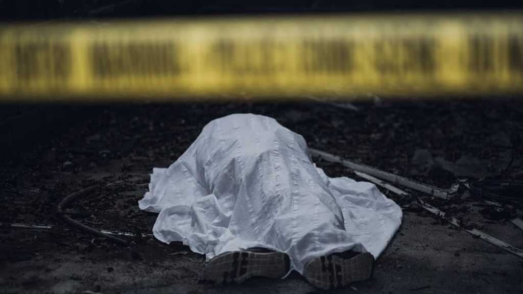 Search image article