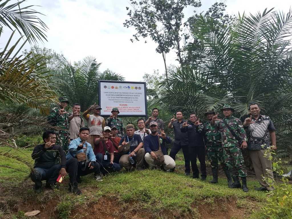 Search image article