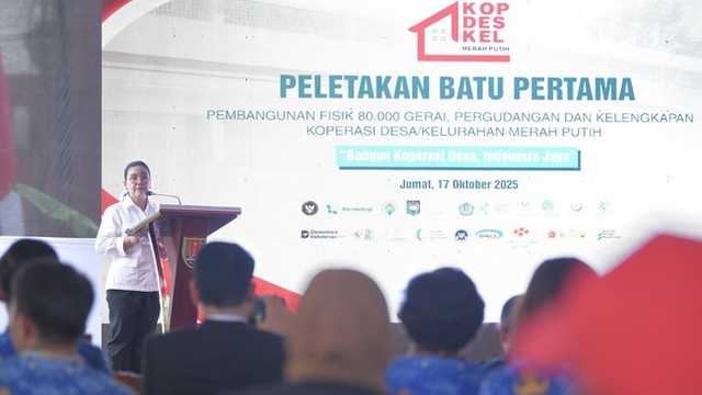 Search image article