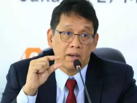 Search image article