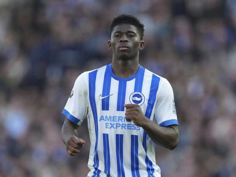 Search image article