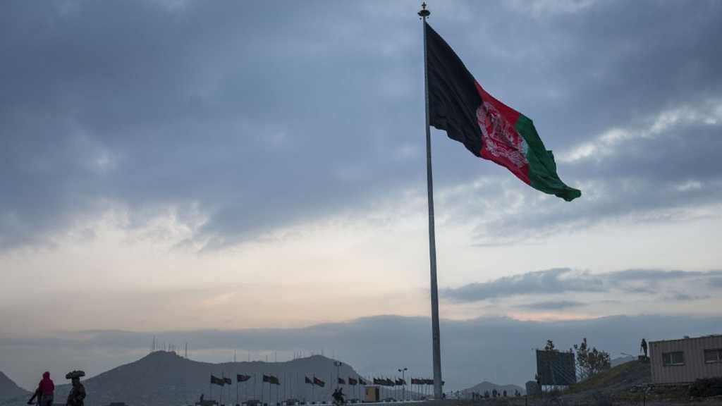 Search image article