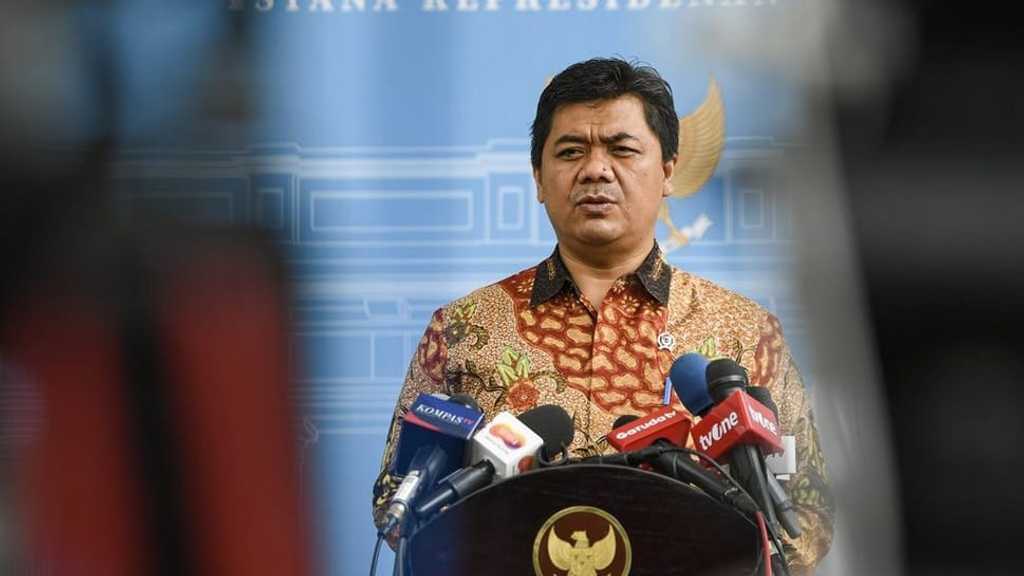 Search image article