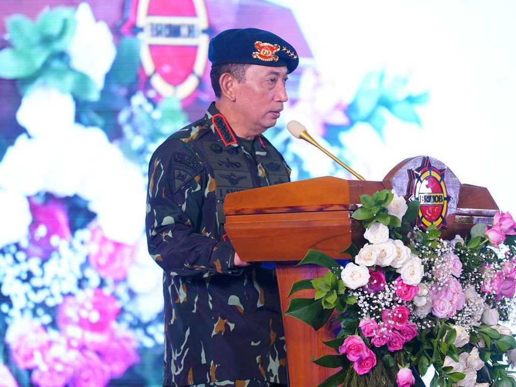 Search image article