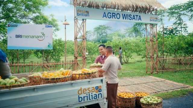 BRI Perkuat Ekonomi Desa: 4.909 Desa Terjangkau Program BRILiaN