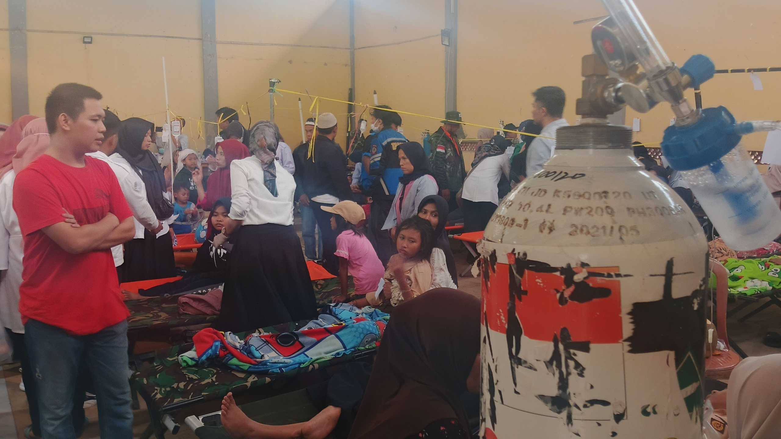 Search image article