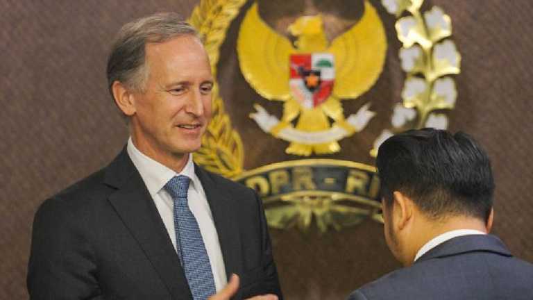 Search image article