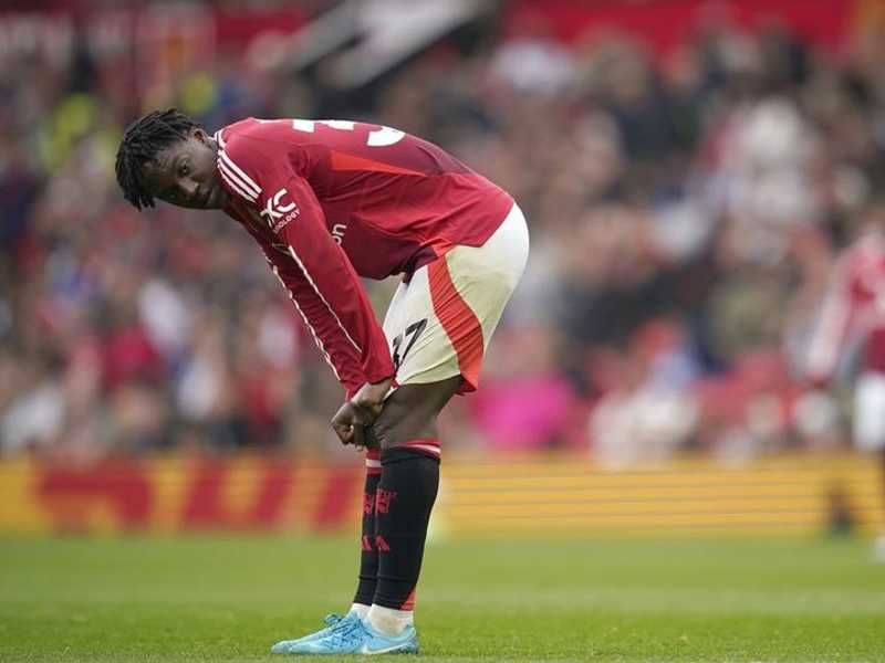 Search image article