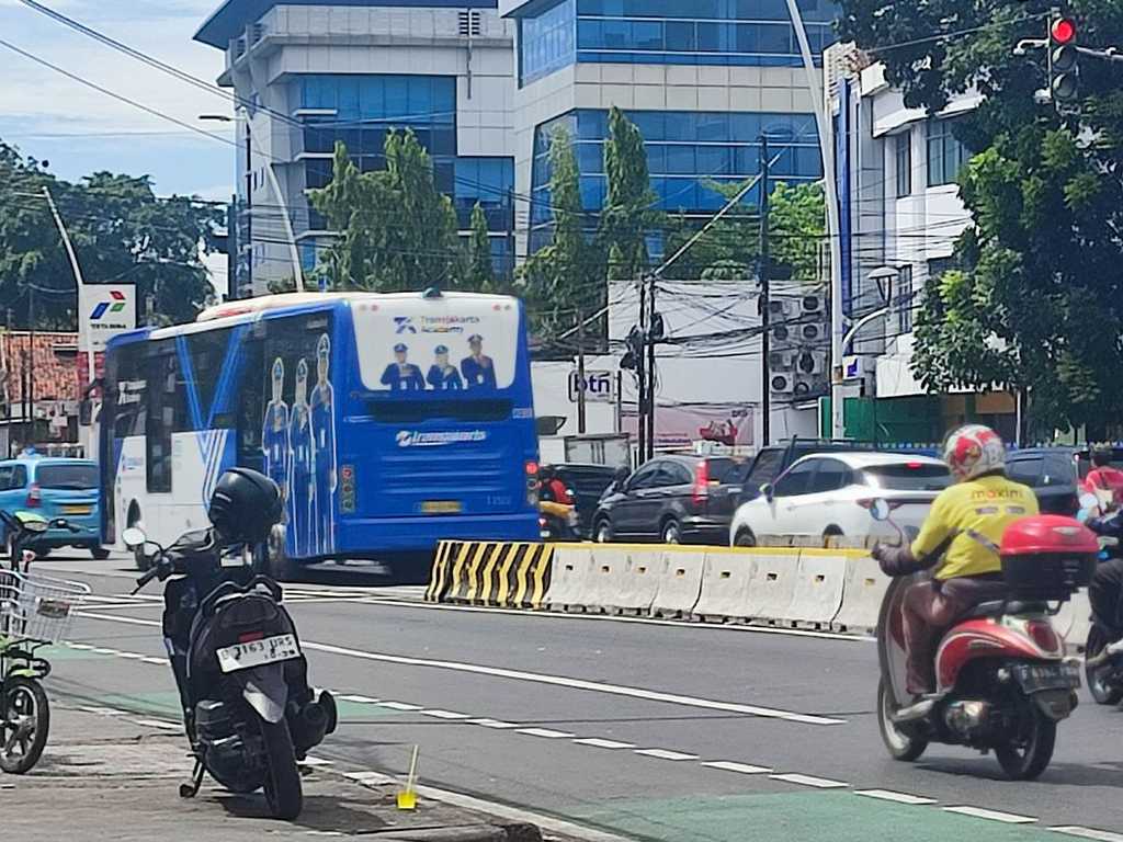 Search image article