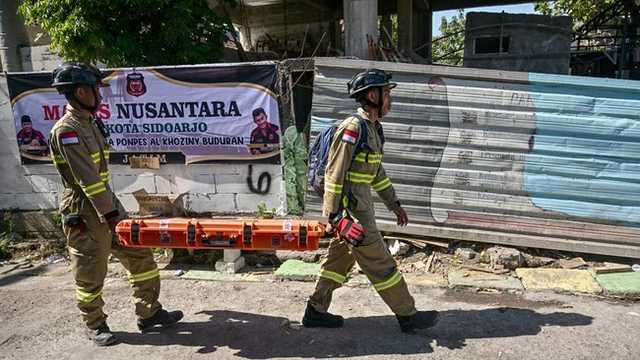 Search image article