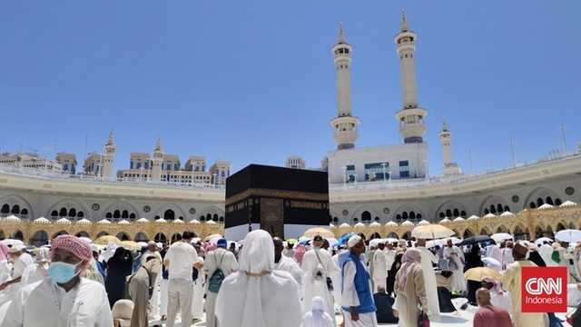 Search image article