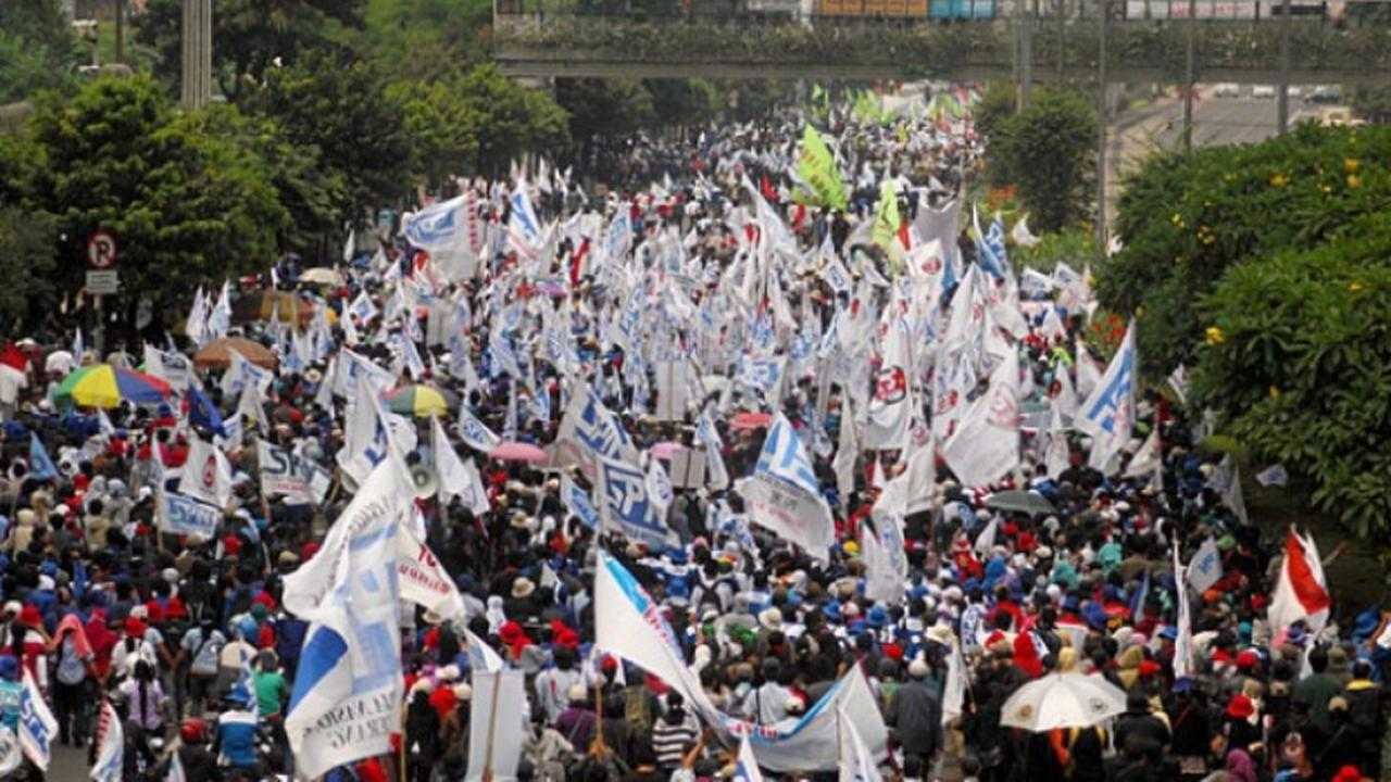 Search image article