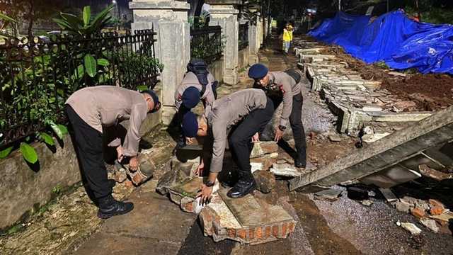 Search image article