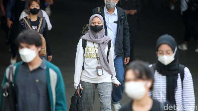 Search image article