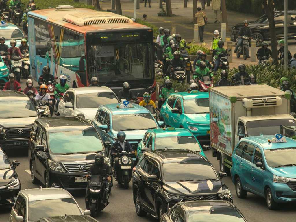 Search image article