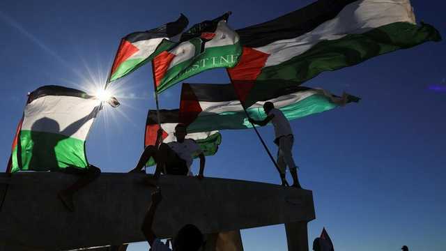 Search image article