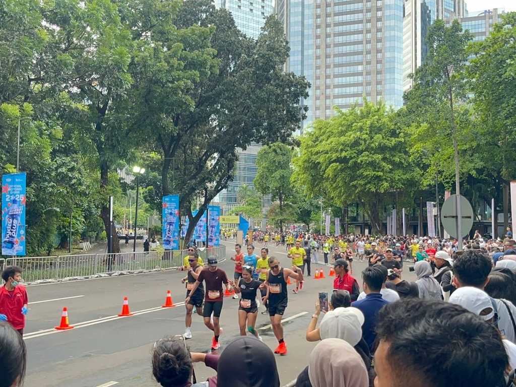 Search image article