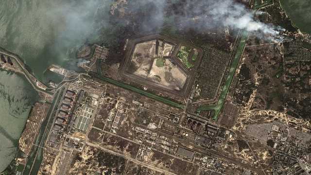 Search image article