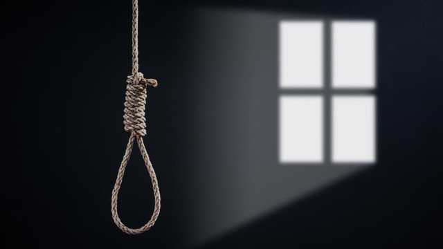 Search image article