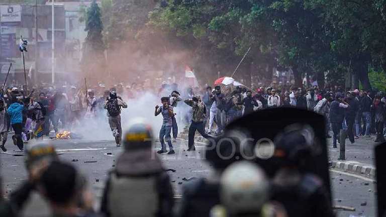 Search image article