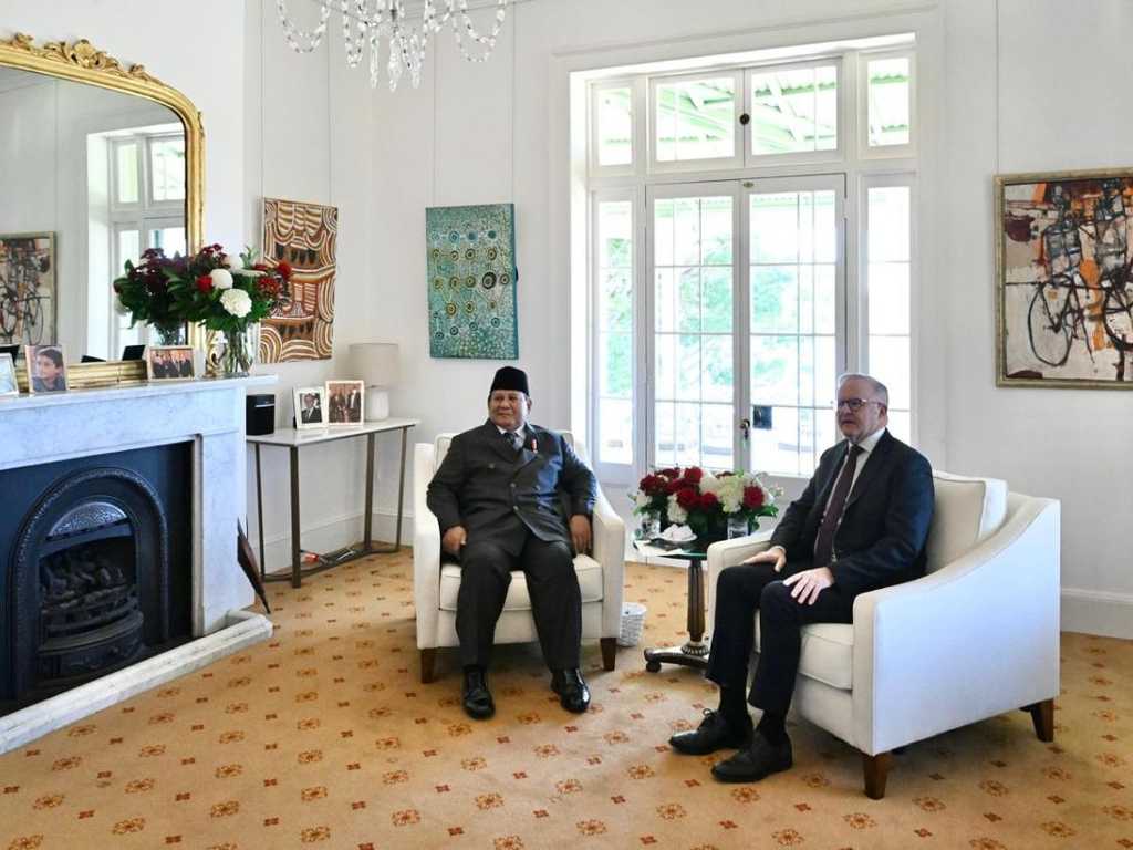 Search image article