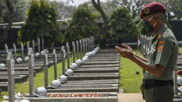 Search image article