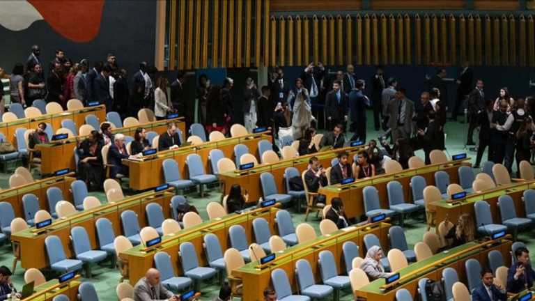 Search image article