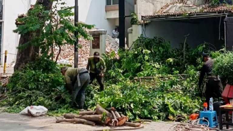 Search image article