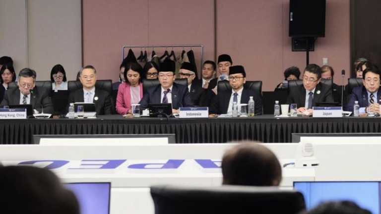 Search image article