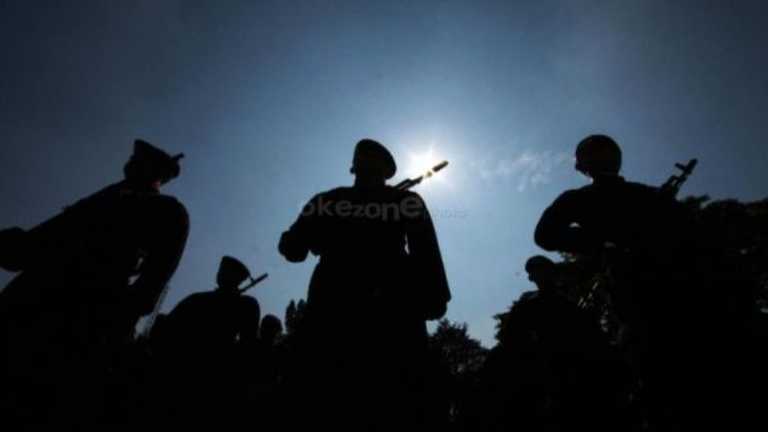 Search image article