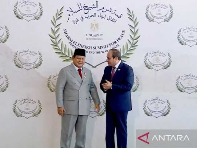 Search image article