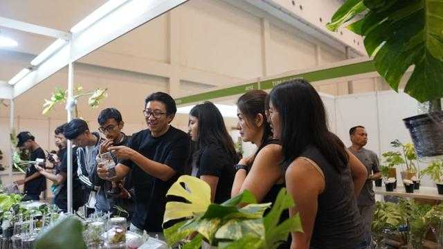 Search image article