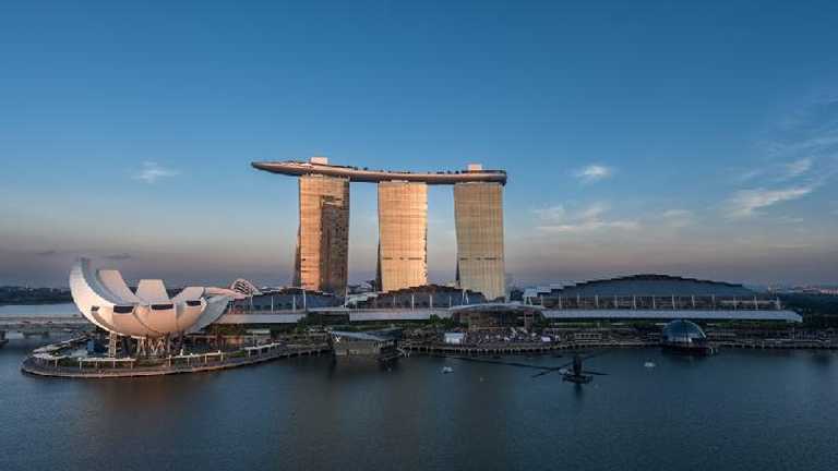 Search image article