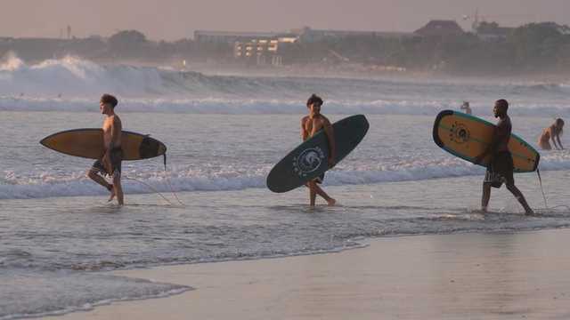 Search image article