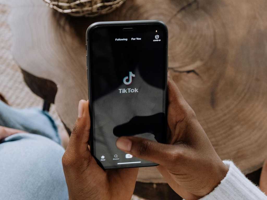 Search image article