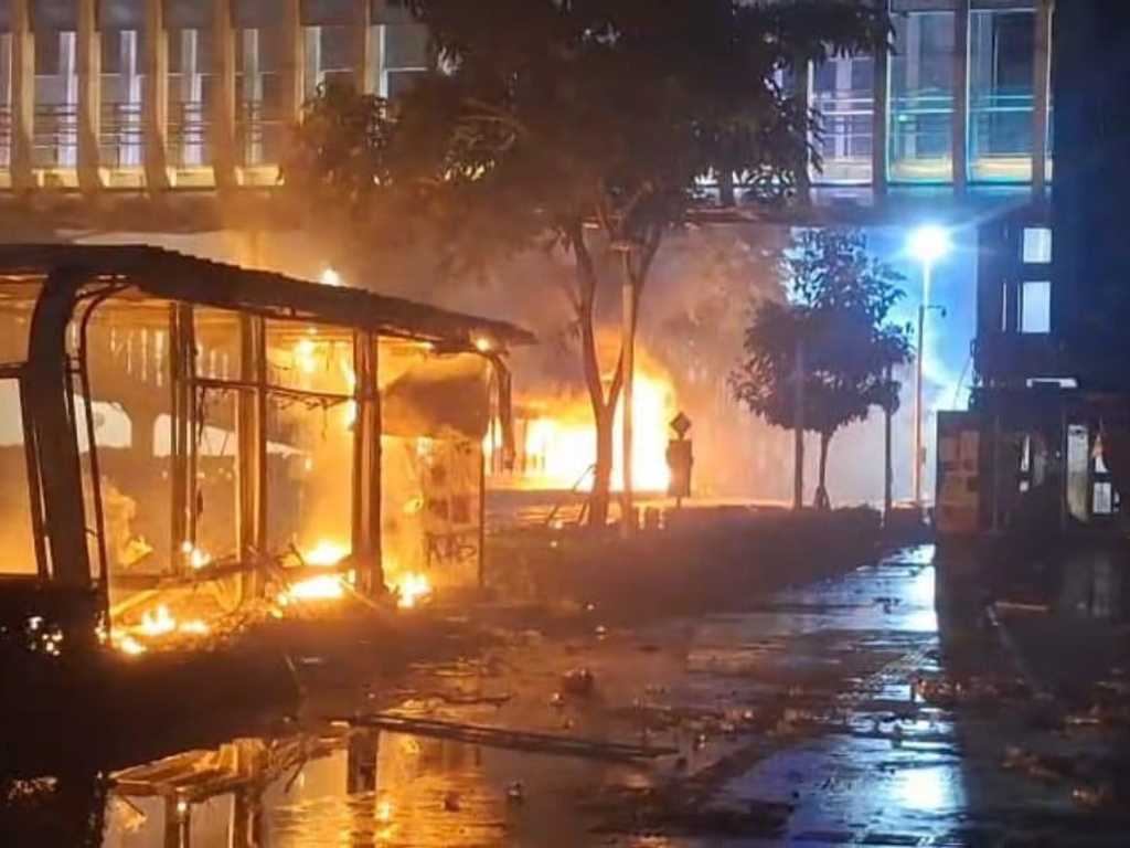 Search image article