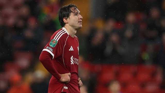 Search image article