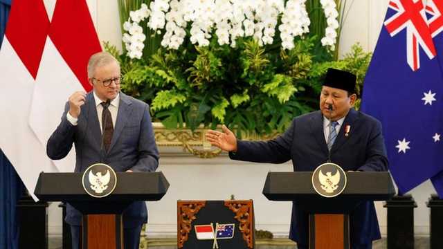 Search image article