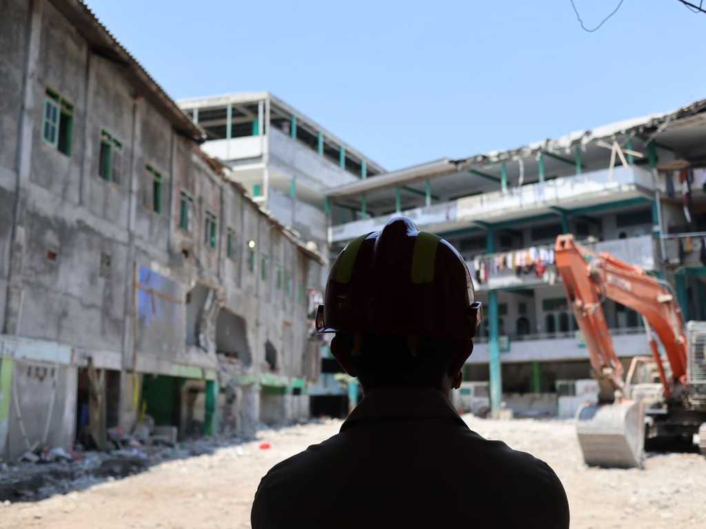 Search image article