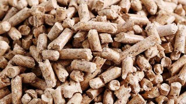 Search image article