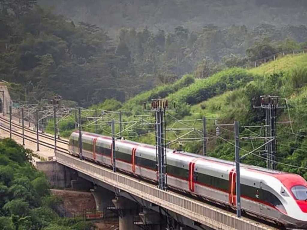 Search image article