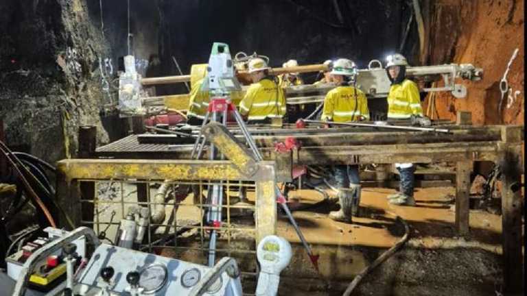 Search image article